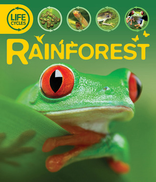 Rainforest (Hardcover)