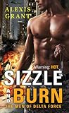 Sizzle and Burn (The Men of Delta Force, #1)
