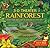 3D Theater: Rainforest: Rainforest