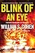 Blink of an Eye (Sean Falco...