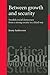 Between Growth and Security: Swedish Social Democracy from a Strong Society to a Third Way (Critical Labour Movement Studies)