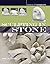 Sculpting in Stone (Basics of Sculpture)