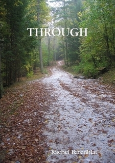 Through (Paperback)