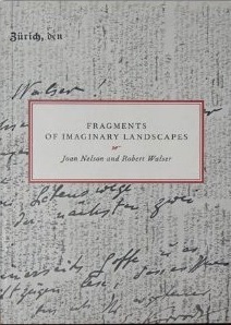 Fragments of imaginary landscapes (Paperback)