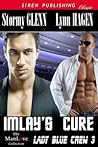 Imlay's Cure by Stormy Glenn