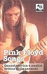 Pink Floyd Songs: genesi storica e analisi critica delle canzoni