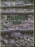 Det tålmodige (Paperback)