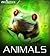 Navigators: Animals