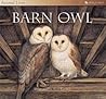 The Barn Owl (Animal Lives)