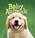 Baby Animals Pets