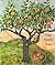 Our Apple Tree