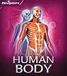 Human Body
