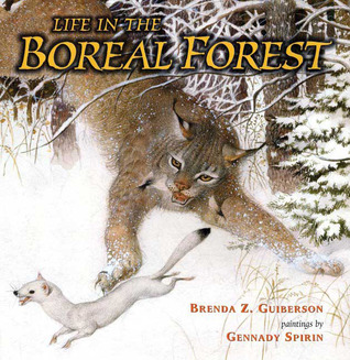 Life in the Boreal Forest (Hardcover)