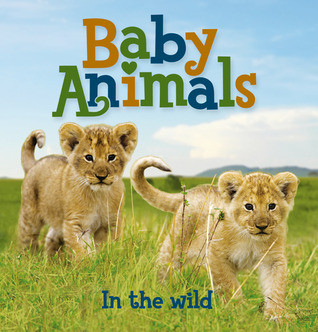 Baby Animals In the Wild (Board Book)