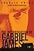 The Interrogation of Gabriel James by Charlie Price