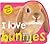 I Love Bunnies (Touch and Feel)