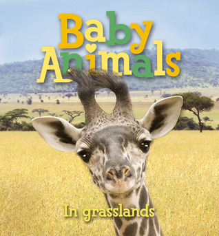 Baby Animals: In Grasslands (Board Book)