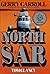 North SAR: A Novel of Navy Combat Pilots in Vietnam