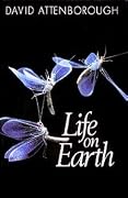 Life on Earth