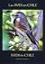 Las Aves En Chile /Birds in Chile