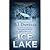 Ice Lake: Gone Cold & Cold Heat & Stone Cold