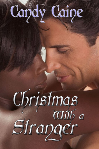 Christmas With A Stranger