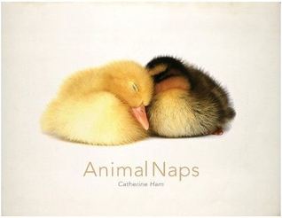 Animal Naps (Hardcover)