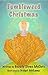 Tumbleweed Christmas by Beverly Stowe McClure