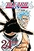 Bleach #24: Immanent God Blues