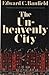 The Unheavenly City