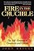 Fire in the Crucible by John P. Briggs