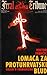 Lomača za protuhrvatski blud by Viktor Ivančić