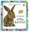 Baby's Very First Little Book of Little Bunnies by Mary Cartwright