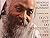 Don't Just Do Something, Sit There by Osho Rajneesh