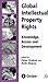Global Intellectual Property Rights: Knowledge, Access and Development