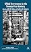 Global Governance in the Twenty-first Century (Global Issues)