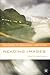 Reading Images (Readers in Cultural Criticism, 5)