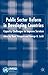 Public Sector Reform in Developing Countries: Capacity Challenges to Improve Services