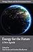 Energy for the Future: A New Agenda (Energy, Climate and the Environment)