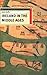Ireland in the Middle Ages (British History in Perspective)