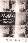 Picturing the Pri...