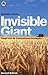 Invisible Giant: Cargill an...