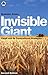Invisible Giant: Cargill and its Transnational Strategies