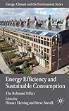Energy Efficiency and Sustainable Consumption: The Rebound Effect (Energy, Climate and the Environment) Energy Efficiency and Sustainable Consumption: The Rebound Effect (Energy, Climate and the Environment)