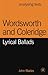 Wordsworth and Coleridge by John Blades