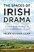 The Spaces of Irish Drama: ...