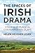 The Spaces of Irish Drama by Helen Lojek
