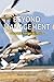 Beyond Management: Taking Charge at Work