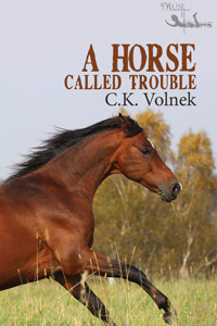A Horse Called Trouble