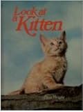 Look at a kitten